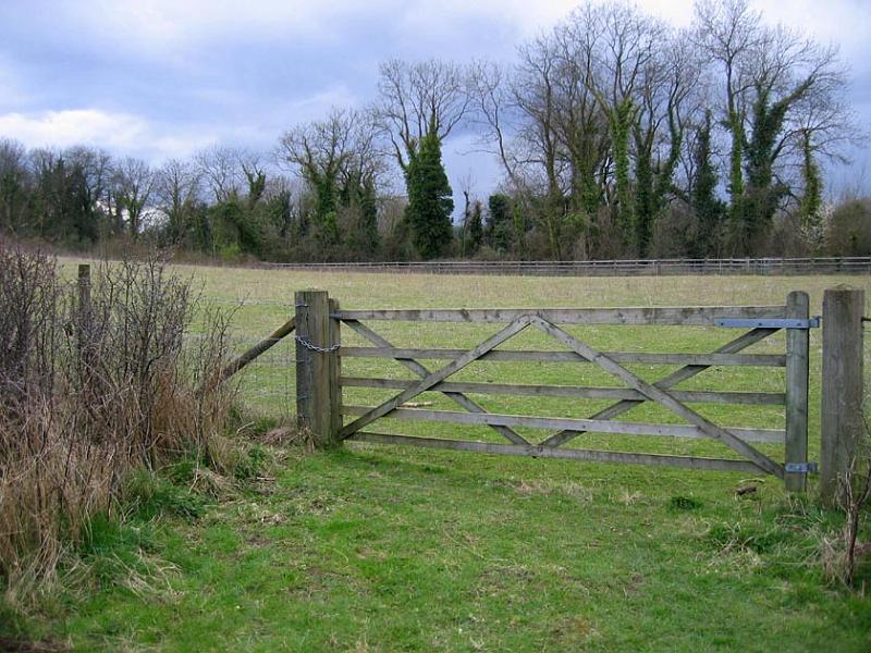 field gate representation