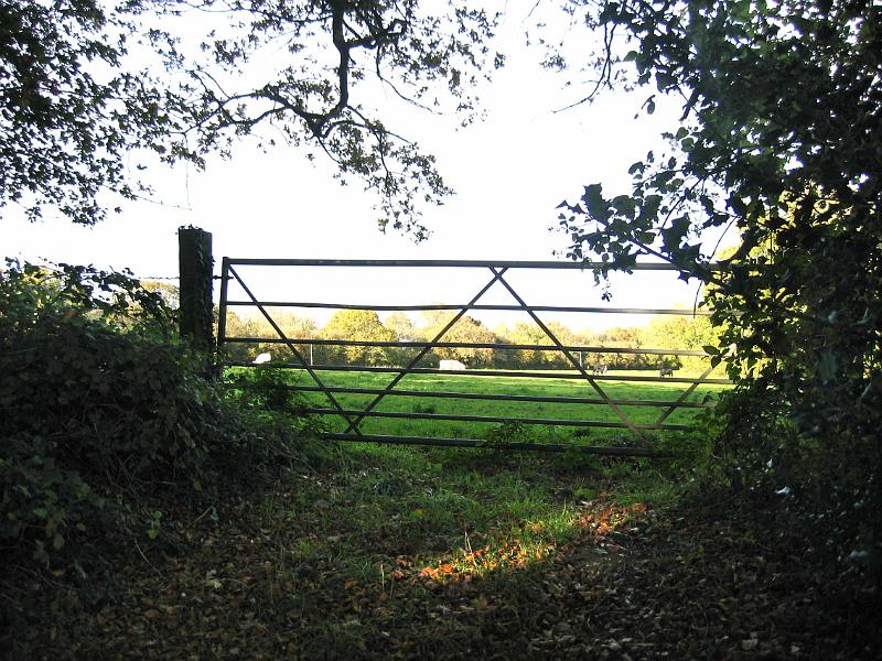 field gate panorama