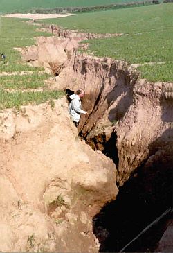 Gully erosion in Devon, England. The gully began as a small rill and within a short time had developed to this depth, more than 8 feet.