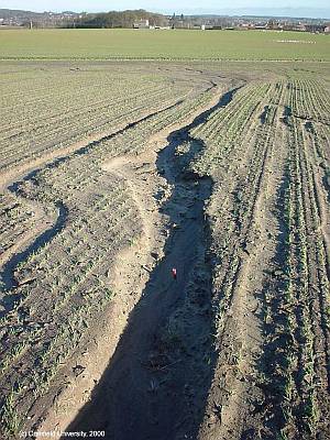 This erosion is occuring as the farmer has ploughed downhill in the direction of the contours - can you see why that is a very bad idea?