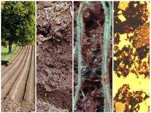This image shows the different scales at which we can consider soil. Here we see the field scale, the soil profile, the macro-scale and the micro-scale. Image credit: Karl Ritz