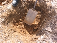 Digging into the soil