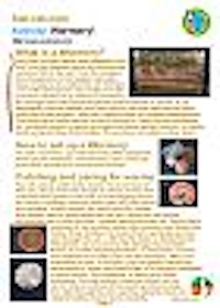 Download the activity as a PDF