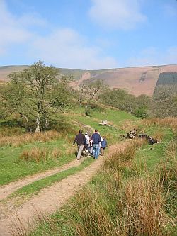 Dinkling Green Hill Farm, Bowland Fells