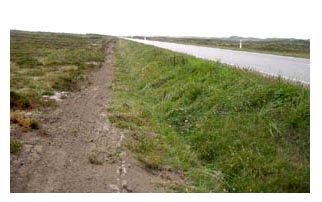 Causeway through area of dune heathland in Jutland