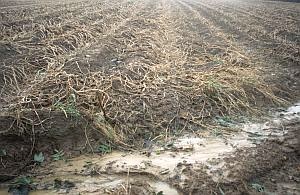Runoff passing over the field. Image Credit and Copyright: Hugh Prudden.