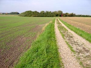 Causeway protecting a right of way through a field