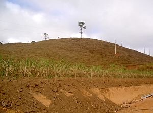 The former Brazilian rainforest  on the road from Belo Horizonte near the town of Ipitinga - after logging and land clearance. Image credit: Jude Hirstwood