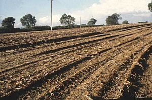 Harvested area with deep furrows and poor soil structure. Image Credit and Copyright: Hugh Prudden.