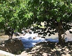 The sacred stream at Ivris in Turkey showing one of the rivers flowing onto the plain and disappearing.