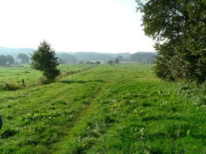 Line of Ravning Enge Viking causeway