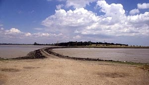 The Maldon causeway