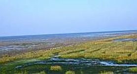 The Romo mudflats in Denmark, a tidal mudflat exposed at low tide.