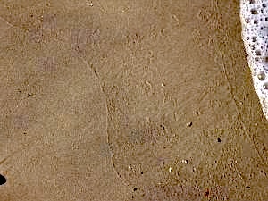 Fine sand