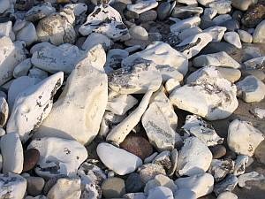 Large limestone stones