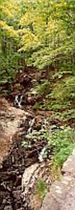 A small stream gushing down a
hillside in Canada