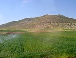 In recent years irrigation on the Konya plain has intensified greatly