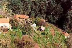 Hillside terracing
