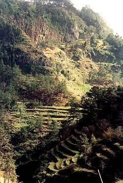 Hillside terracing