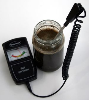 A pH meter such as this one from Westminster
Meters is simple to use and can tell you a lot about your garden soils.
