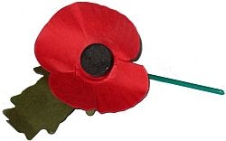 The poppy is used to remember those who died in the war as the poppy was the first flower to grow on the battlefields