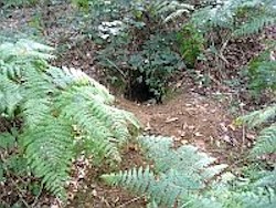 First tunnel entrance