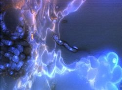 The microscopic world of soil. Image credit and Copyright: Karl Ritz.