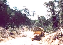 The results after logging. Image credit: Ian Baille