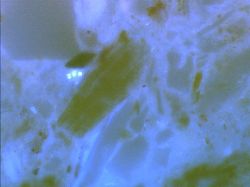 Bacteria in the subsoil.
Image credit and Copyright: Karl Ritz.