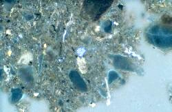 Central bacterial colony.
Image credit and Copyright: Karl Ritz.