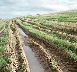 The desire to extend the period of cropping and preparation of soils for cultivation has led some farmers to go on land with equipment when it is too wet. Here is an example of how the soil can be damaged.