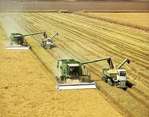 Harvesting the crops is a machine-intensive experience now - this is intensive farming. Image credit: Defra, Crown Copyright.