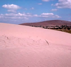 An example of the advance of deserts in India, covering agricultural land and because the desert is so mobile it is too unstable for crops.