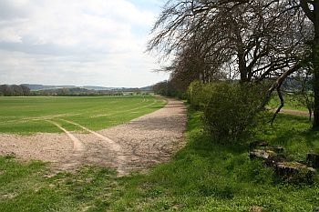 Dunstable chalk downs, England