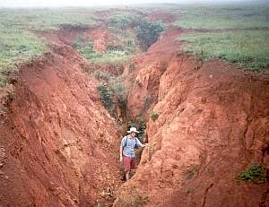 This is MAJOR soil erosion - a real gulley. But even smaller-scale erosion can cause real problems.