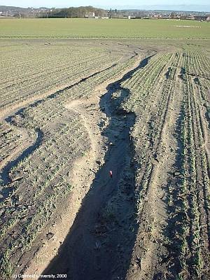 This erosion is occuring as the farmer has ploughed downhill in the direction of the contours - can you see why that is a very bad idea?