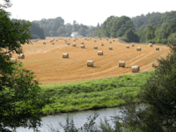 A good harvest from a rich Scottish soil