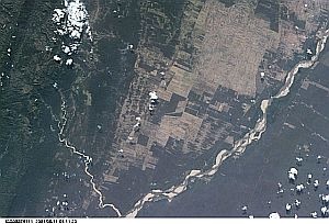 Deforestation in Bolivia from space. Image credit and copyright: NASA Johnson Space Center - Earth Sciences and Image Analysis (NASA-JSC-ES&IA)