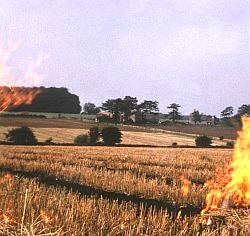 It is important to keep as much organic matter in the soil as possible. Farmers used to burn the stubble from their cornfields depriving the soil of this source of organic matter.
