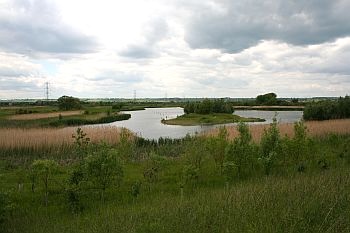 Marston Vale Millennium Country Park in Bedfordshire, UK.