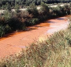 When some materials break down in the soil they can form toxic elements which may be washed out of the soil into the water courses. Here they can cause considerable damage to aquatic life.