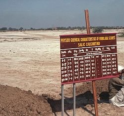 In soils in which the watertable is close to the surface of the soil, when the watertable rises to the surface it can deposit large amounts of salts as here in India. Few plants can tolerate large amounts of salt.
