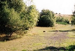Smithy Dene, the same view,  some 9 years later. Image credit: Roy Lambeth