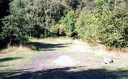 Smithy Dene, the same view,  some 9 years later. Image credit: Roy Lambeth