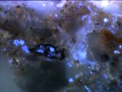 Bacteria in the soil. Image credit: Karl Ritz