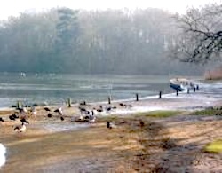 The riverbank - an important soil/water interface