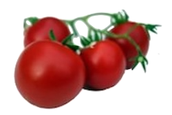 Try a tasty home-grown tomato!