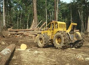 Deforestation of tropical and sub-tropical forests causes enormous envinonmental problems downstream. Image credit: Ian Baillie