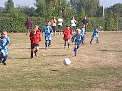How could we play football without soil! What would the World Cup be like without soil?