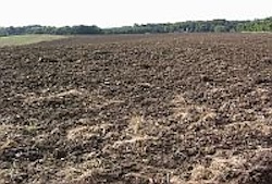 This field is ploughed and ready for planting.